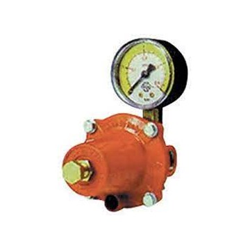 Regolatore Di Pressione Per Gas GPL BP | Portata 3 Kg/h, Temperatura -20°C A +50°C, Raccordi 1/4" E 3/8" - 7